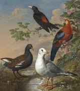 A Moorhen, A Gull, A Scarlet Macaw and Red-Rumped A Cacique By a Stream in a Landscape Philip Reinagle